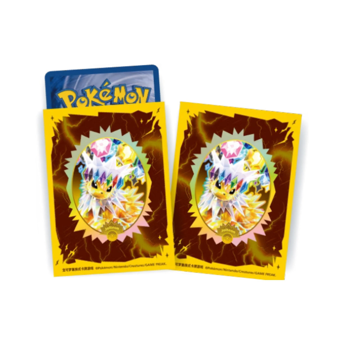 Pokémon Terastal Gathering Eeveelution Binder Gift Box - Simplified Chinese - SparkLeaf TCG